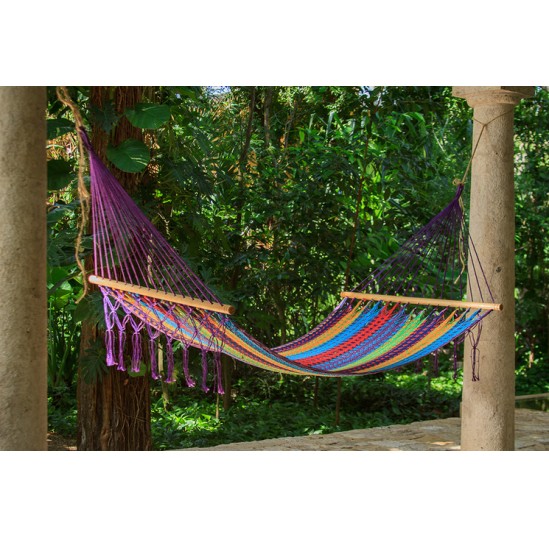 Queen Colorina Fringeless Hammock